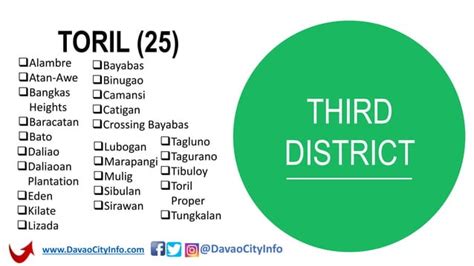 barangay puan davao city|District and Barangays .